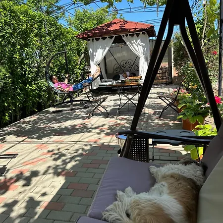 招待所 Rafael Si Robert