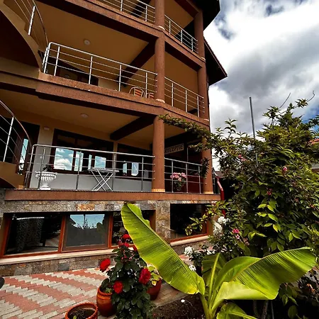 Rafael Si Robert 多亚马伊