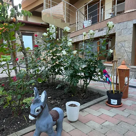 Guest house Rafael Si Robert 3*