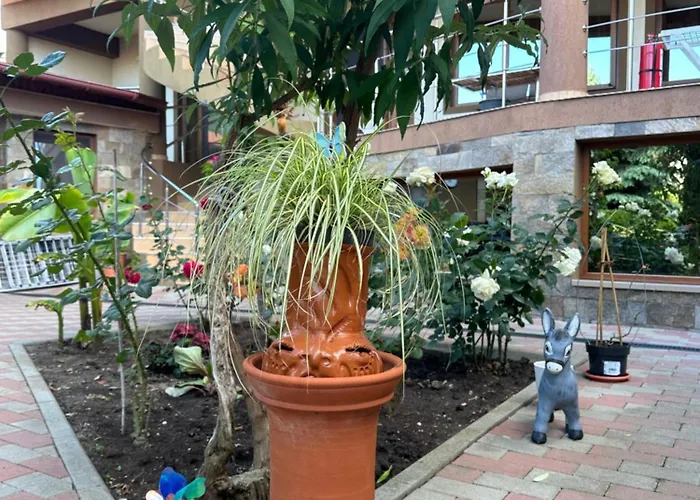 Rafael Si Robert 3* 2 Mai