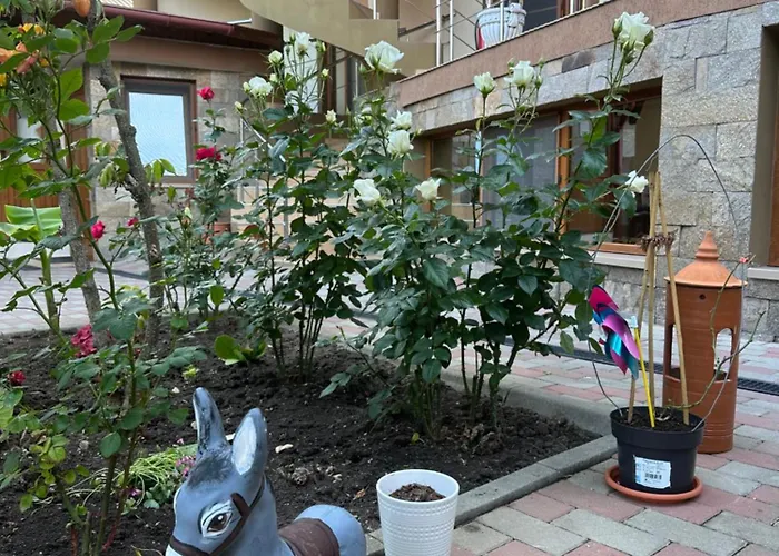 Guest house Rafael Si Robert 3*